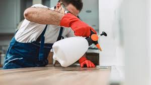 Best Pest Prevention Services  in Harrington, DE